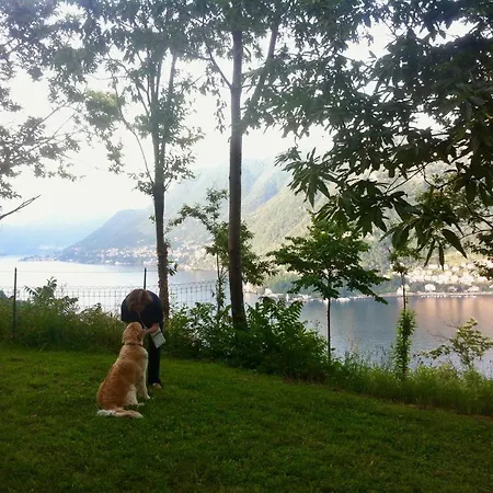 Bed & Breakfast Corti Como