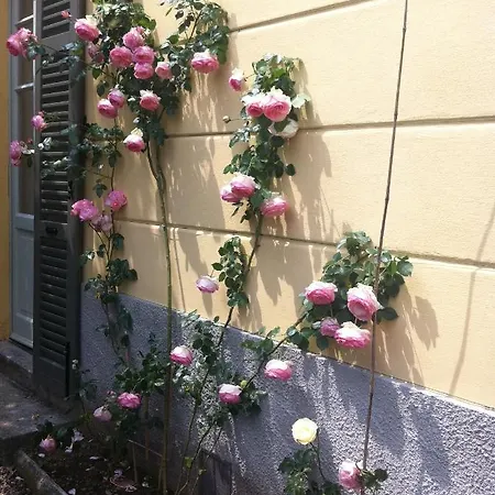 Corti Bed & Breakfast