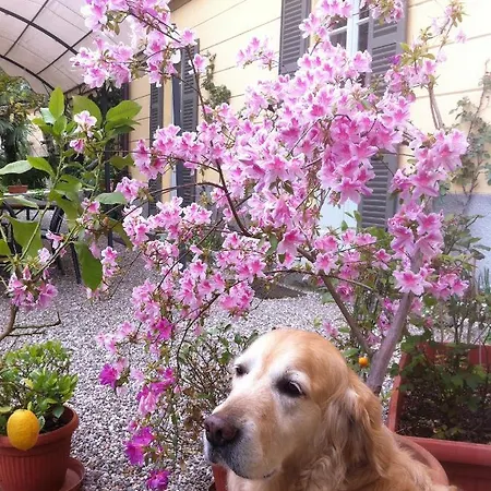 Corti Bed & Breakfast Como