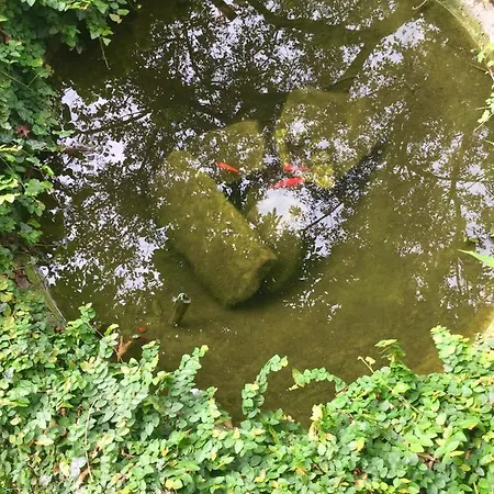 Corti Bed & Breakfast