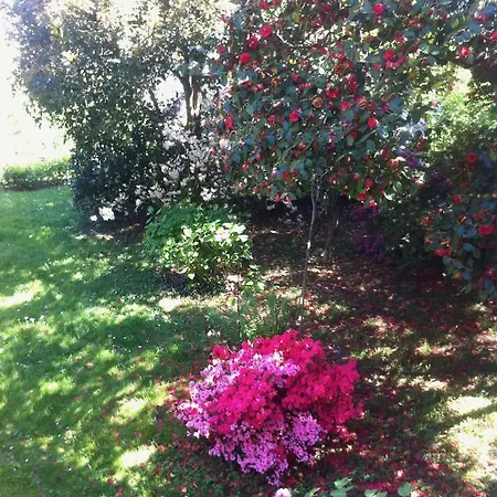 Corti Bed & Breakfast *