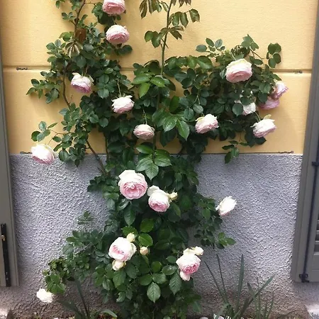 Corti Bed & Breakfast *