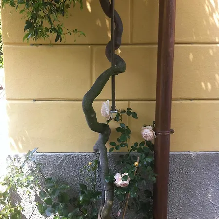 Corti Côme