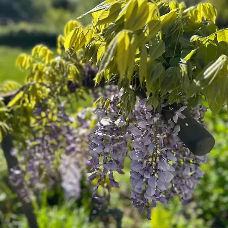 ベッド・アンド・ブレックファスト Corti 3*