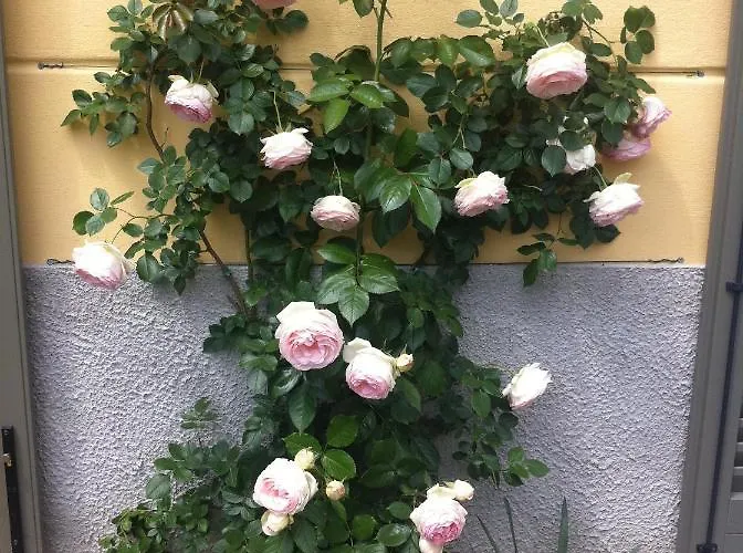 Corti Panzió 3*