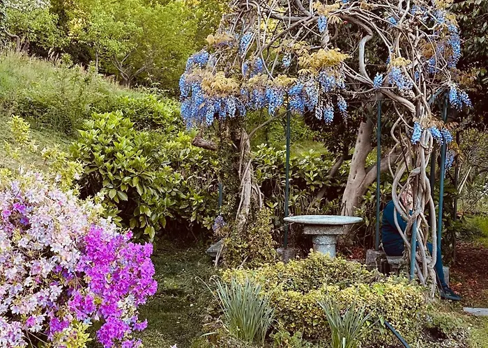 住宿加早餐酒店 Corti 科莫