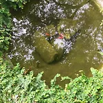 Corti Nocleg ze śniadaniem