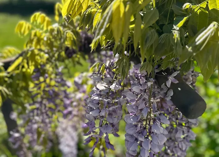 Couette-café Corti 3*